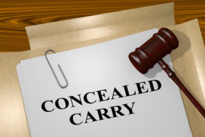 3D illustration of 'CONCEALED CARRY' title on legal document